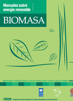 Documento de Biomasa