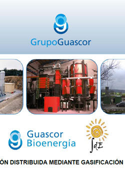 Documento de GD por gasificación de biomasa