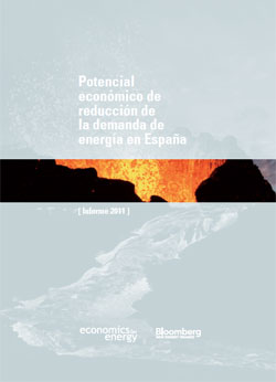 Documento de Informe anual de Economics for Energy